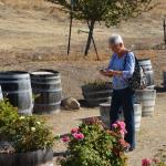 Cambria_0416 (November 01, 2013)